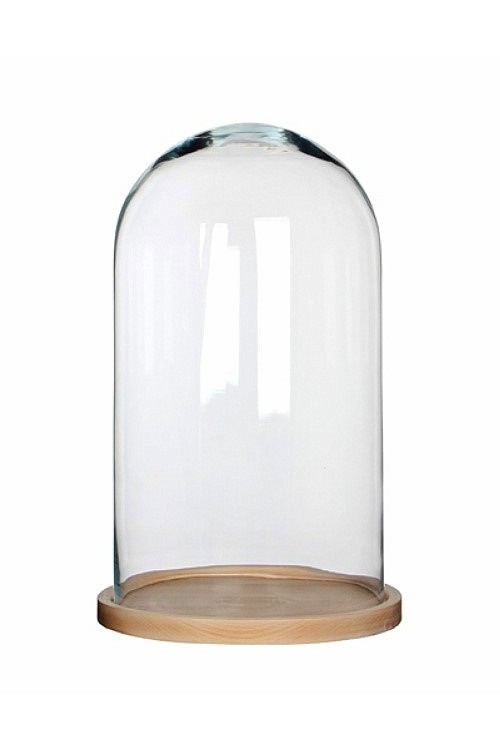 Duży szklany klosz z jasnobrązową drewnianą podstawą 550039 - 23,5x38 cm