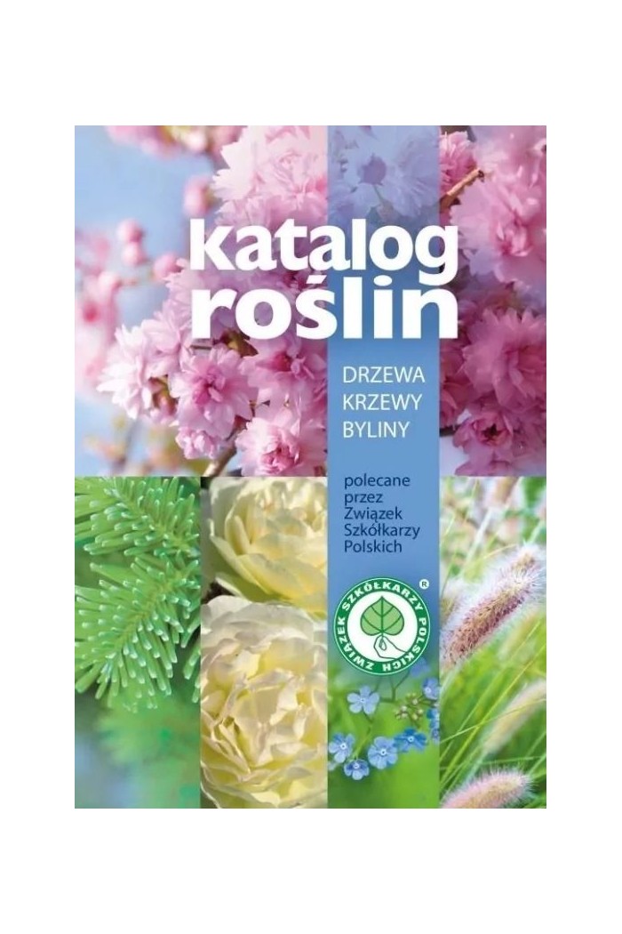 KATALOG ROLIN VI NOWY 12049 - doniczki-poznan.pl