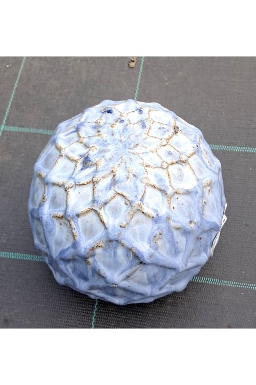 Kula ceramiczna Estella niebieska s/2