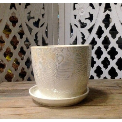 Doniczka Pawie Pióro