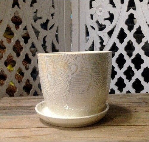 Doniczka Pawie Pióro