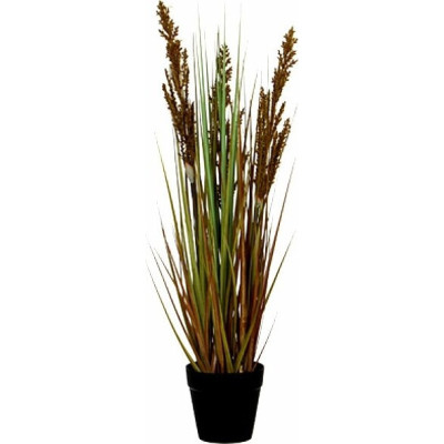 Trawa ozdobna w doniczce