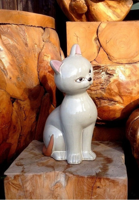 Kot Gatsby białoszary