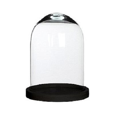 Szklany klosz z czarną drewnianą podstawą