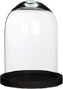 Szklany klosz z czarną drewnianą podstawą