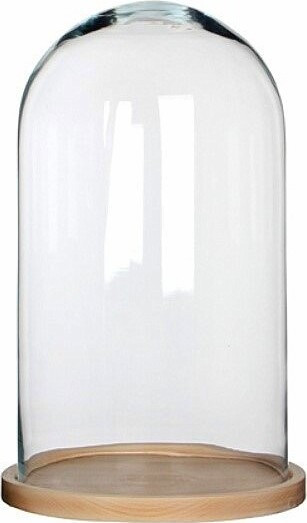 Duży szklany klosz z jasnobrązową drewnianą podstawą