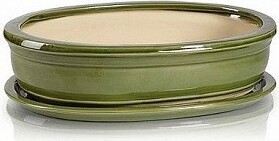 Zielona owalna doniczka do bonsai