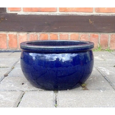 Misa Baryłka niebieska