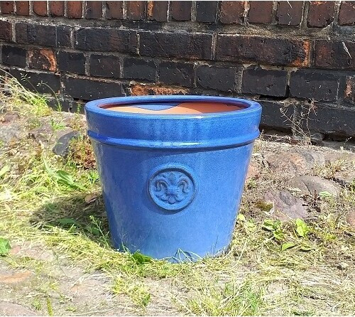 Donica Lilia niebieska