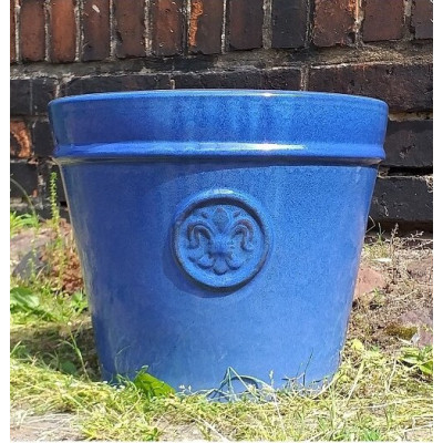 Donica Lilia niebieska