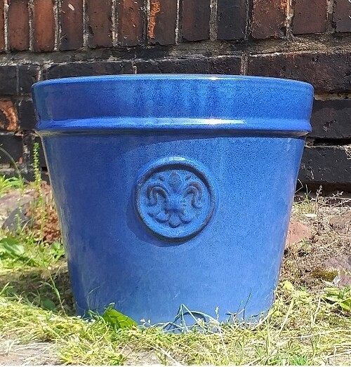 Donica Lilia niebieska