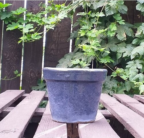 Donica prosta z rantem szaroniebieska