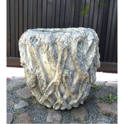 Donica Akari Korzeń