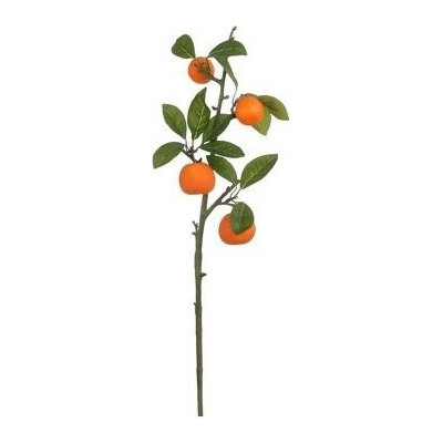 Gałązka pomarańczy z owocami