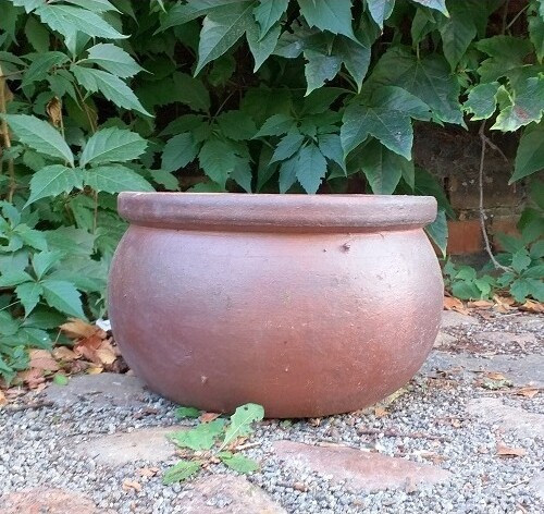 Donica sycylijska misa z rantem