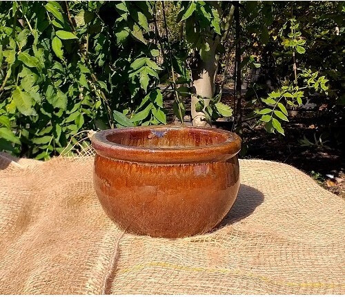 Donica misa brązowa