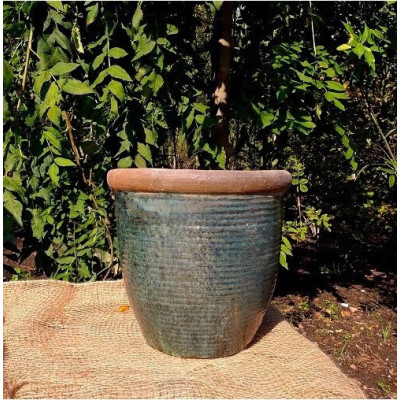 Donica Neapoli zielona