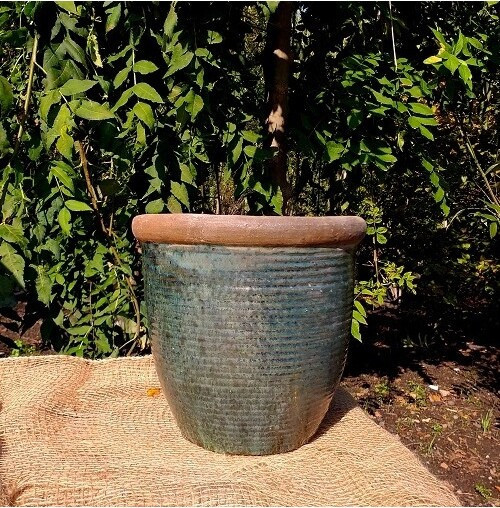 Donica Neapoli zielona