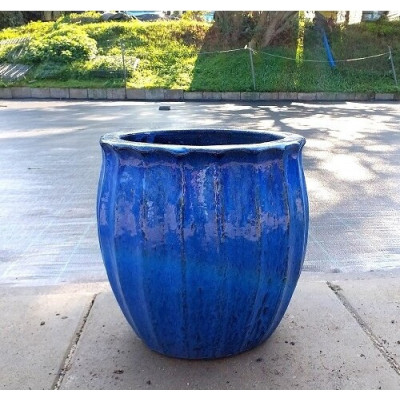 Donica Oktawia niebieska