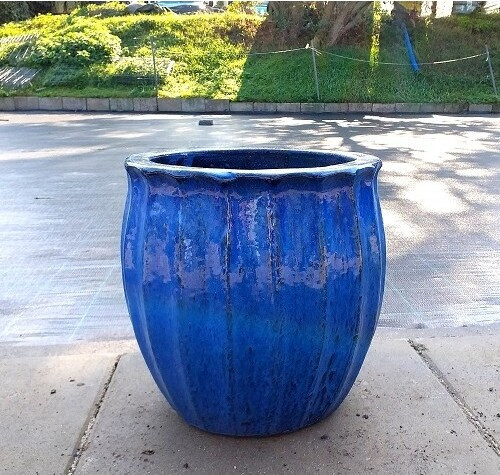 Donica Oktawia niebieska