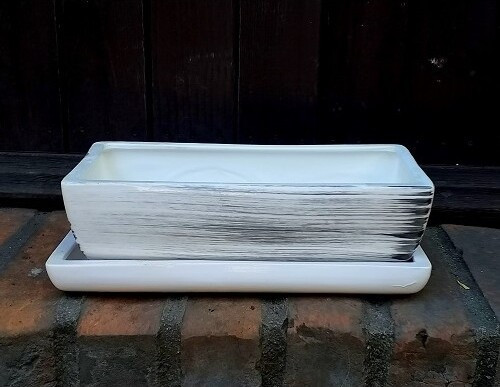 Doniczka kaktusiarka prostokątna biała w czarne paski