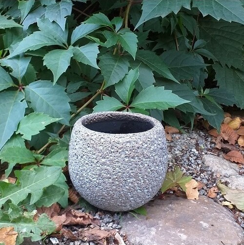 Doniczka Eva niebieskozłota