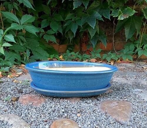 Niebieska owalna doniczka do bonsai