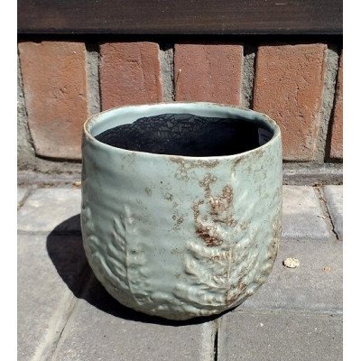 Osłonka Paproć miętowa