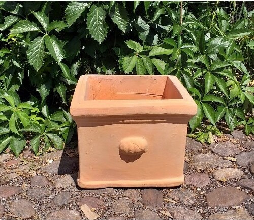 Donica terakota kwadratowa Ears