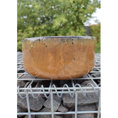 Donica misa prosta miodowa