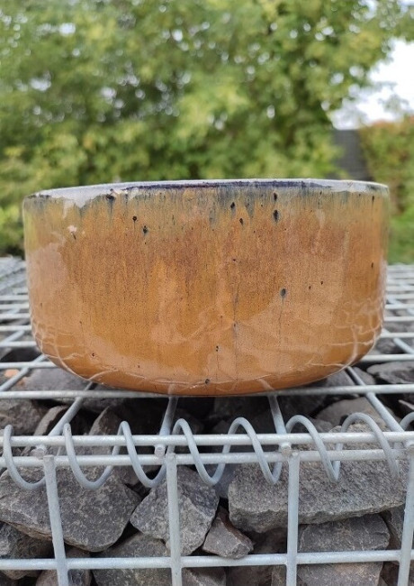 Donica misa prosta miodowa