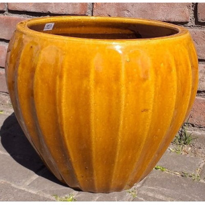 Donica Pumpkin miodowa