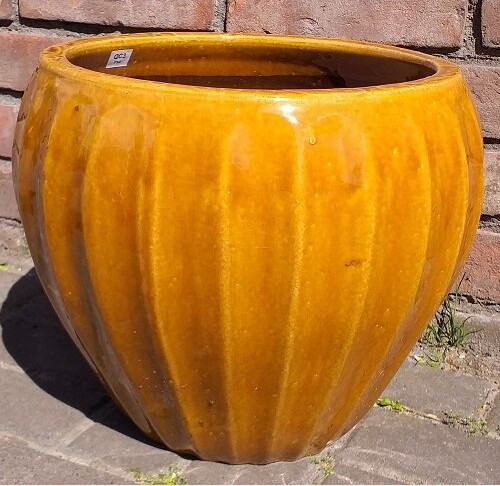 Donica Pumpkin miodowa