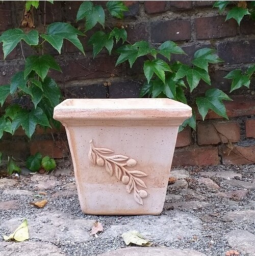 Donica terakota kwadratowa OLIWKA Gałązka