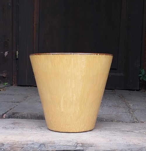 donica Knifolk musztarda