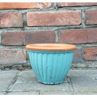 Donica Tropical niebieska