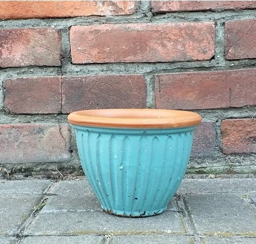 Donica Tropical niebieska