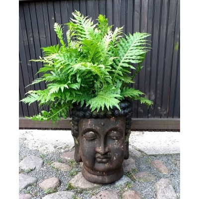 Osłonka Etno Budda heban