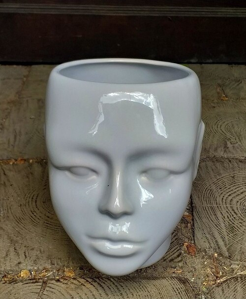 Osłonka Głowa szara