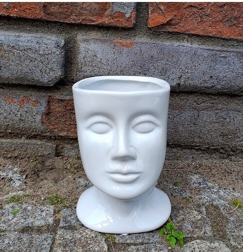 Osłonka głowa biała mała