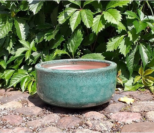 Donica misa prosta zielona