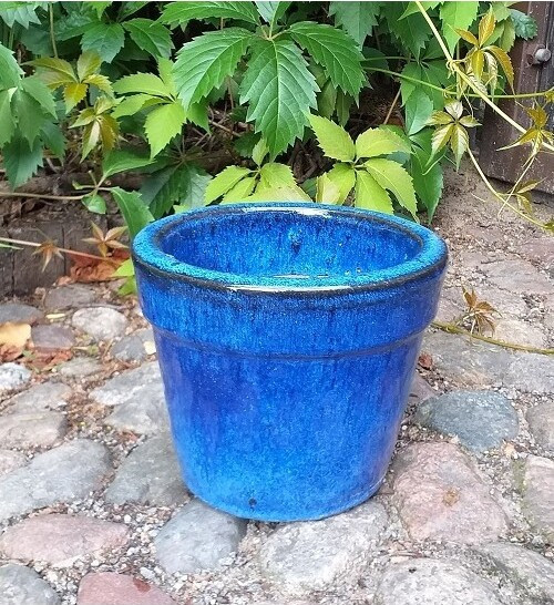 Donica prosta z rantem niebieska