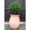 Donica terakota Beczułka