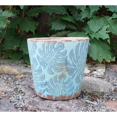 Doniczka Monstera niebieska