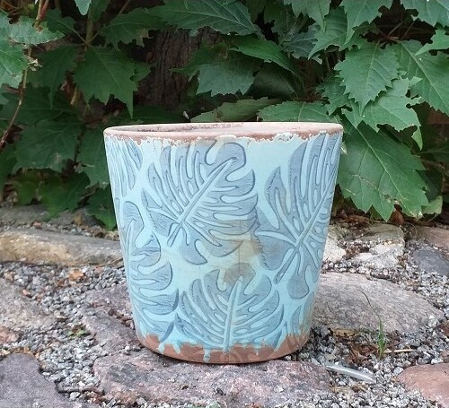 Doniczka Monstera niebieska