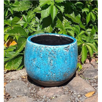 Doniczka kula niebieska