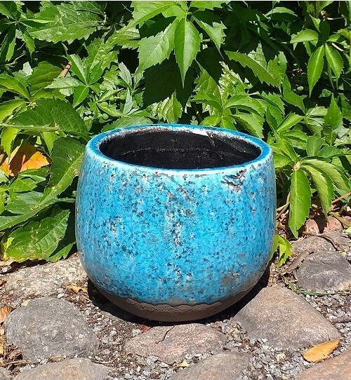 Doniczka kula niebieska