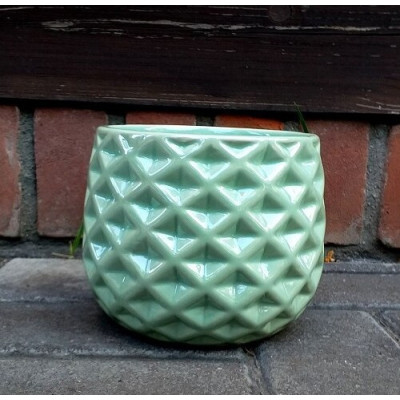 Doniczka perłowa zielona