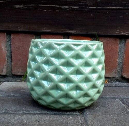 Doniczka perłowa zielona