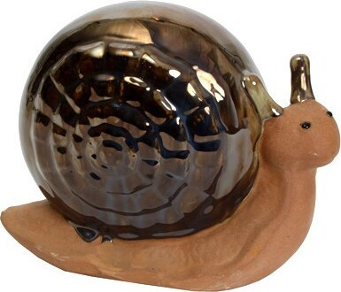 Ślimak metaliczna okrągła muszla